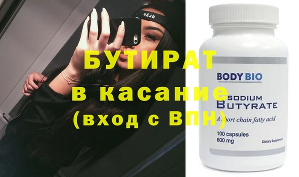 индика Вяземский