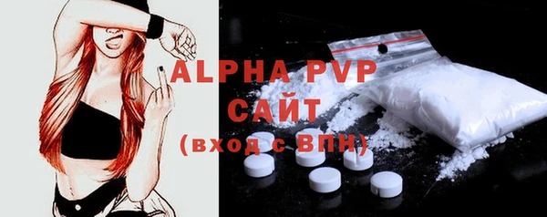 индика Вяземский
