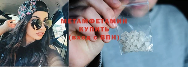 индика Вяземский