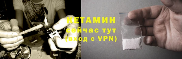 индика Вяземский