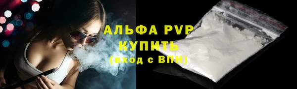 гашик Вязники