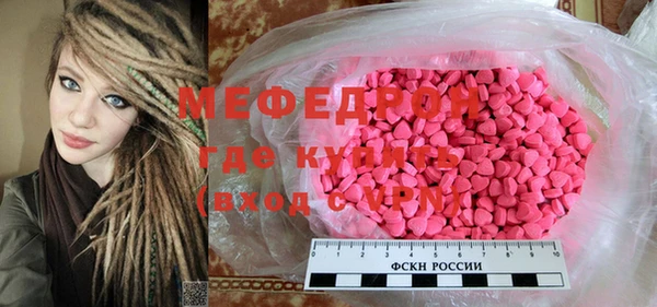 индика Вяземский