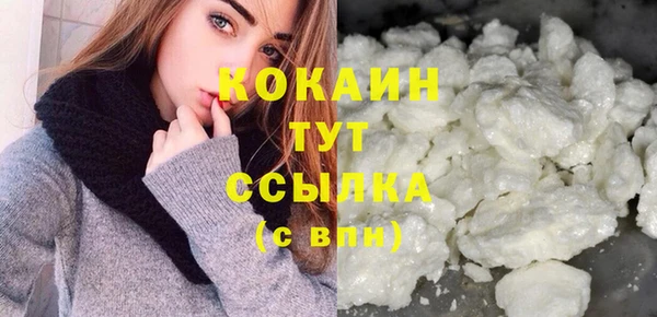 индика Вяземский