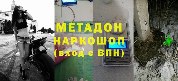 индика Вяземский