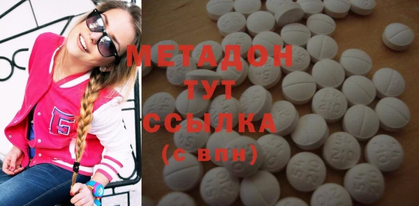 индика Вяземский